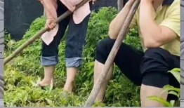 娱乐吃瓜群众一号,揭秘娱乐圈幕后风云