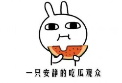 吃瓜事件最新,揭秘网络舆论背后的真相与争议